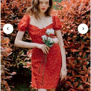 Petite studio Maisy dress NWT